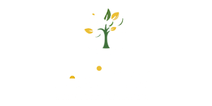 Febimbo_Logo